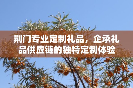 荆门专业定制礼品，企承礼品供应链的独特定制体验